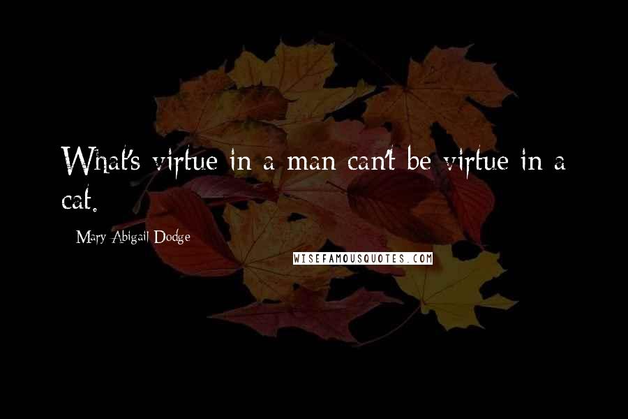 Mary Abigail Dodge Quotes: What's virtue in a man can't be virtue in a cat.