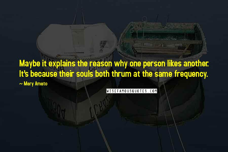 Mary Amato Quotes: Maybe it explains the reason why one person likes another. It's because their souls both thrum at the same frequency.