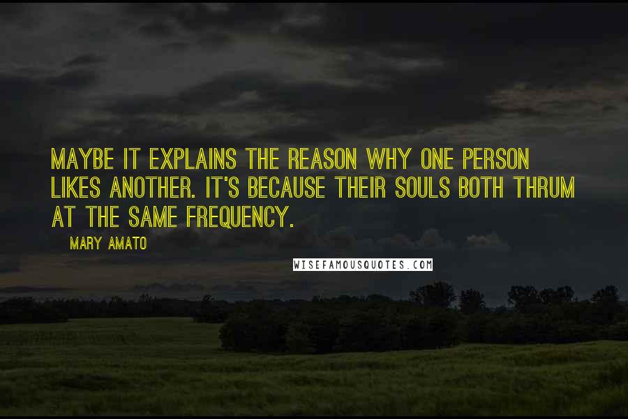 Mary Amato Quotes: Maybe it explains the reason why one person likes another. It's because their souls both thrum at the same frequency.