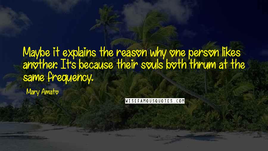 Mary Amato Quotes: Maybe it explains the reason why one person likes another. It's because their souls both thrum at the same frequency.