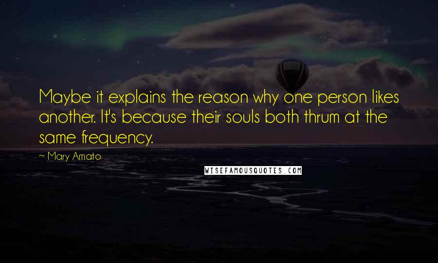 Mary Amato Quotes: Maybe it explains the reason why one person likes another. It's because their souls both thrum at the same frequency.