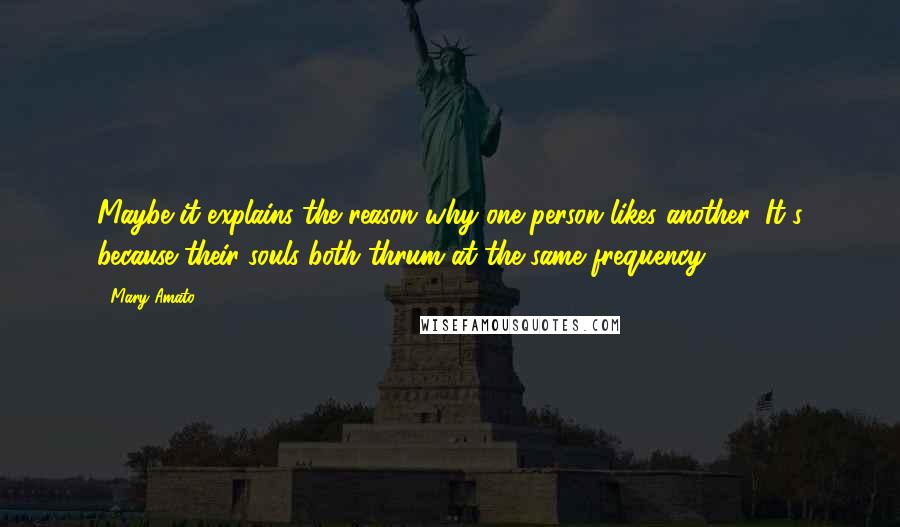 Mary Amato Quotes: Maybe it explains the reason why one person likes another. It's because their souls both thrum at the same frequency.