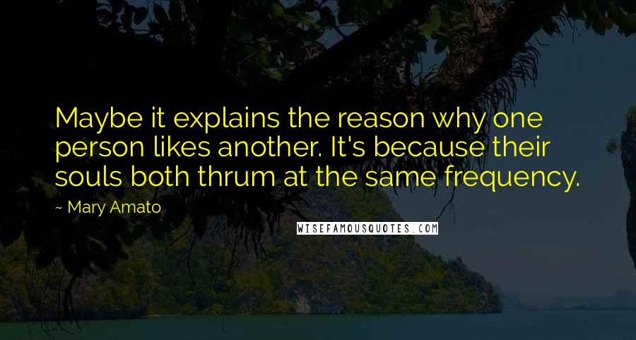 Mary Amato Quotes: Maybe it explains the reason why one person likes another. It's because their souls both thrum at the same frequency.