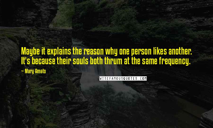 Mary Amato Quotes: Maybe it explains the reason why one person likes another. It's because their souls both thrum at the same frequency.