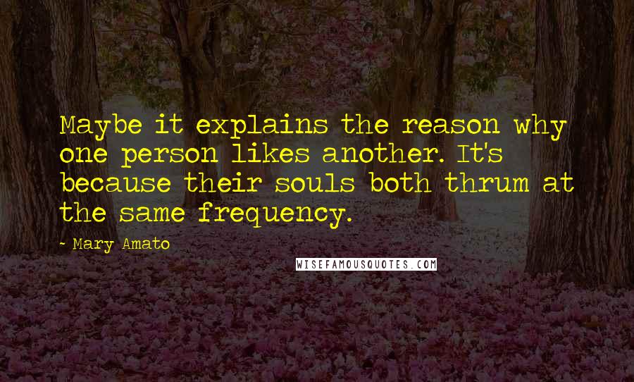 Mary Amato Quotes: Maybe it explains the reason why one person likes another. It's because their souls both thrum at the same frequency.