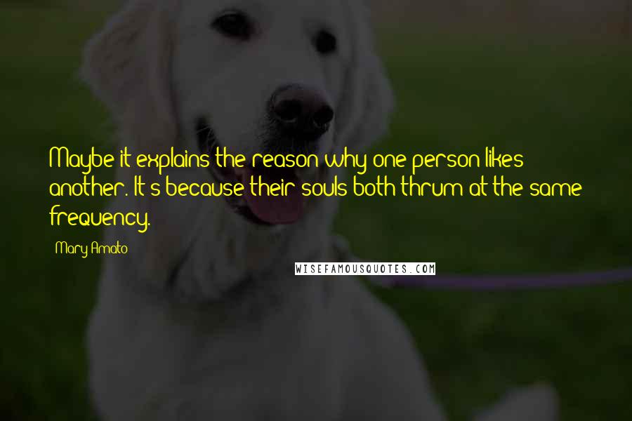 Mary Amato Quotes: Maybe it explains the reason why one person likes another. It's because their souls both thrum at the same frequency.