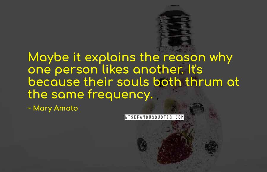 Mary Amato Quotes: Maybe it explains the reason why one person likes another. It's because their souls both thrum at the same frequency.