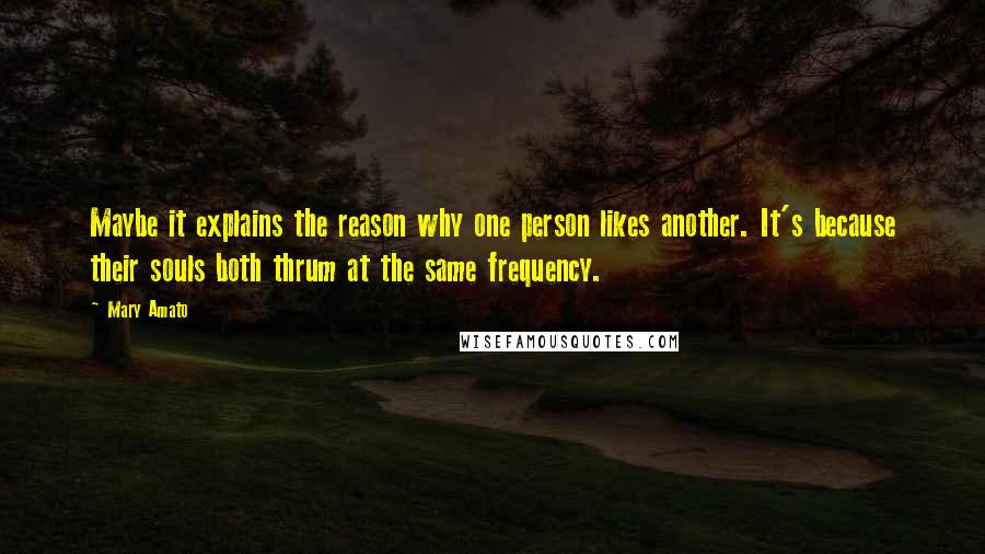 Mary Amato Quotes: Maybe it explains the reason why one person likes another. It's because their souls both thrum at the same frequency.