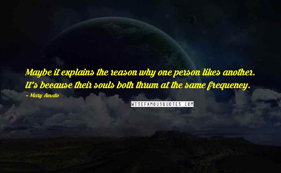 Mary Amato Quotes: Maybe it explains the reason why one person likes another. It's because their souls both thrum at the same frequency.