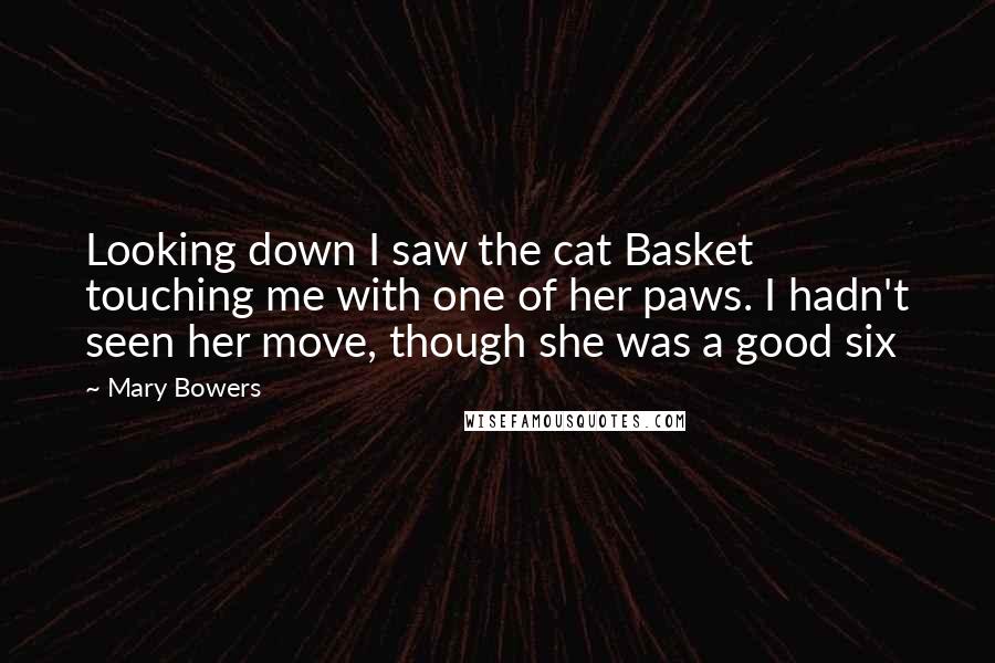 Mary Bowers Quotes: Looking down I saw the cat Basket touching me with one of her paws. I hadn't seen her move, though she was a good six