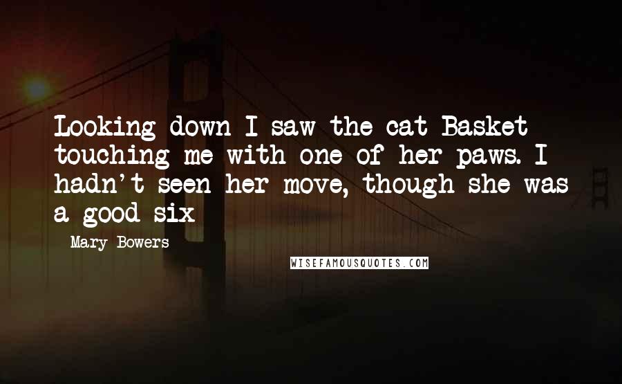 Mary Bowers Quotes: Looking down I saw the cat Basket touching me with one of her paws. I hadn't seen her move, though she was a good six