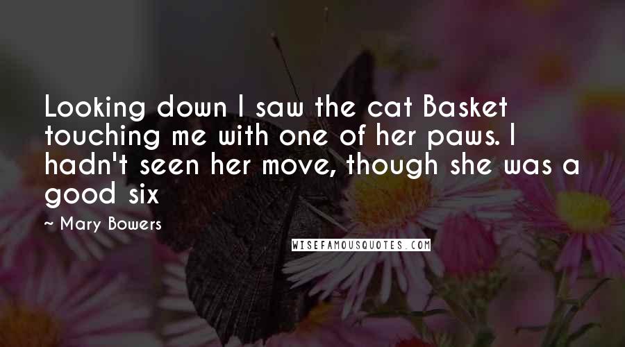 Mary Bowers Quotes: Looking down I saw the cat Basket touching me with one of her paws. I hadn't seen her move, though she was a good six