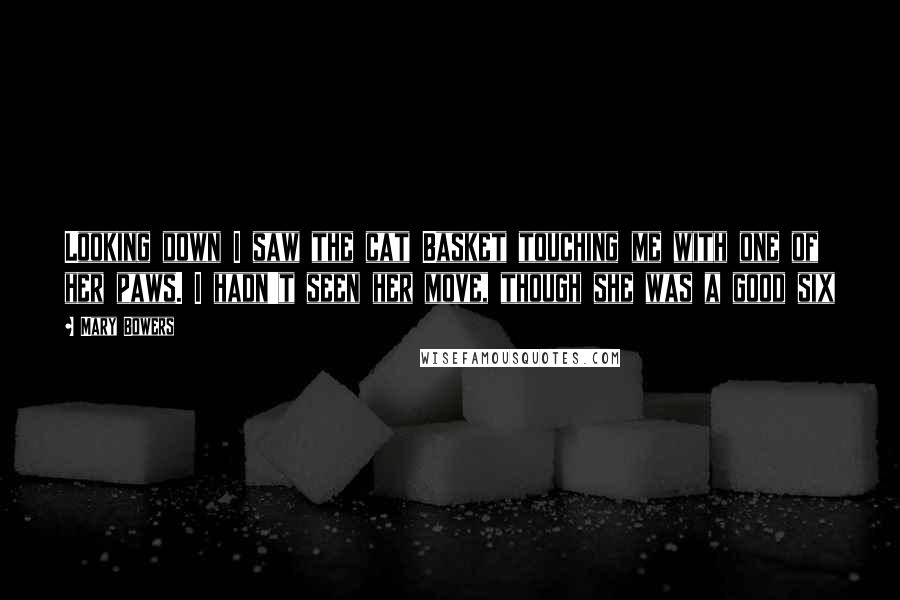 Mary Bowers Quotes: Looking down I saw the cat Basket touching me with one of her paws. I hadn't seen her move, though she was a good six