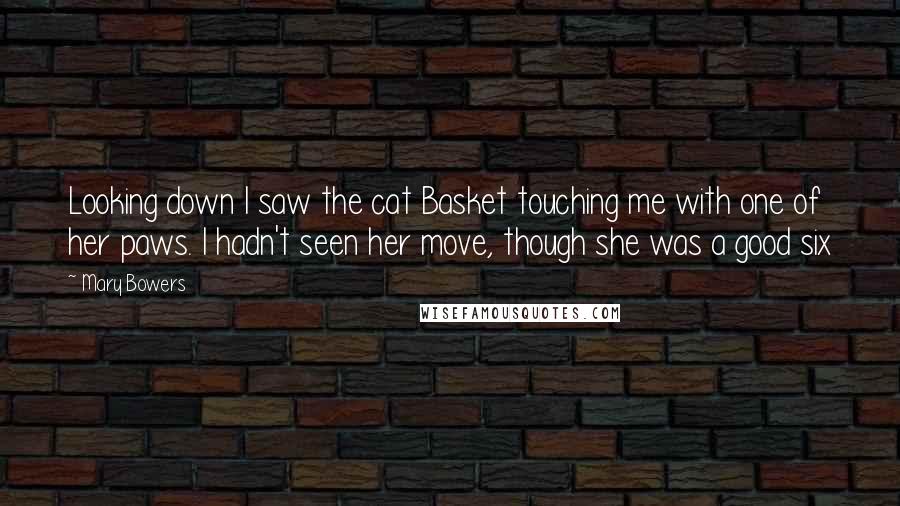 Mary Bowers Quotes: Looking down I saw the cat Basket touching me with one of her paws. I hadn't seen her move, though she was a good six