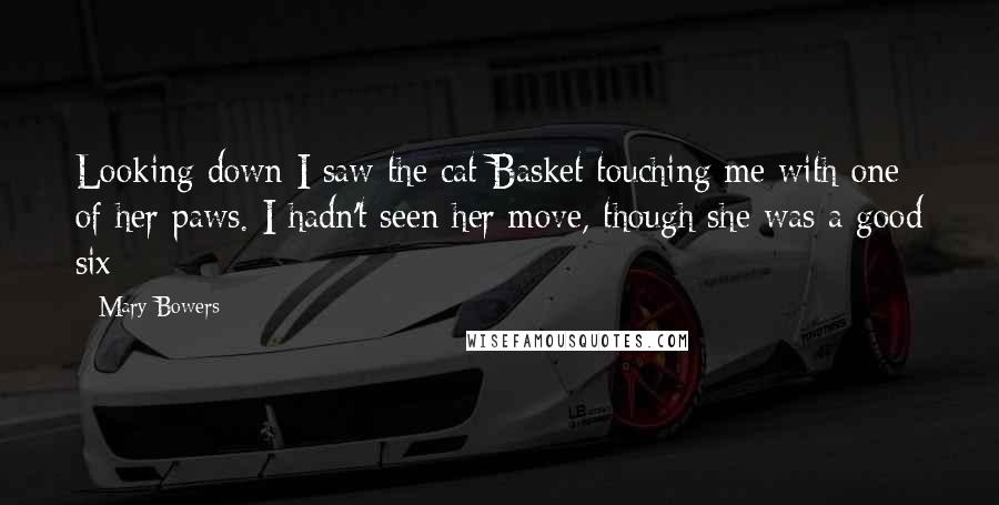 Mary Bowers Quotes: Looking down I saw the cat Basket touching me with one of her paws. I hadn't seen her move, though she was a good six