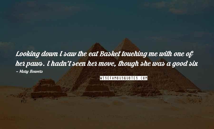 Mary Bowers Quotes: Looking down I saw the cat Basket touching me with one of her paws. I hadn't seen her move, though she was a good six