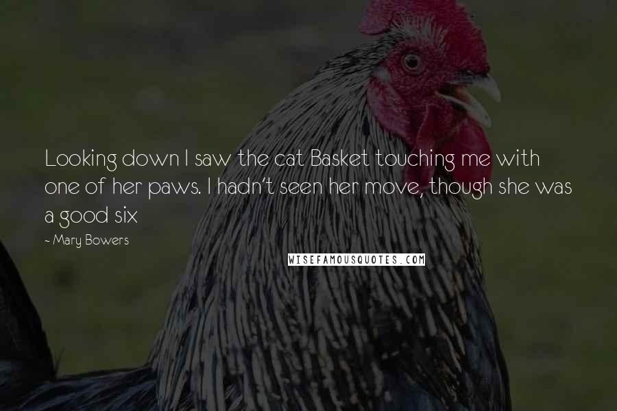 Mary Bowers Quotes: Looking down I saw the cat Basket touching me with one of her paws. I hadn't seen her move, though she was a good six