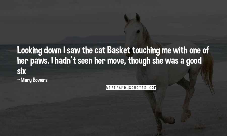 Mary Bowers Quotes: Looking down I saw the cat Basket touching me with one of her paws. I hadn't seen her move, though she was a good six