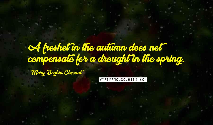 Mary Boykin Chesnut Quotes: A freshet in the autumn does not compensate for a drought in the spring.