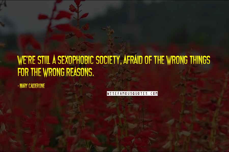 Mary Calderone Quotes: We're still a sexophobic society, afraid of the wrong things for the wrong reasons.