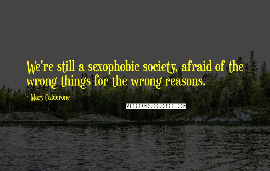 Mary Calderone Quotes: We're still a sexophobic society, afraid of the wrong things for the wrong reasons.