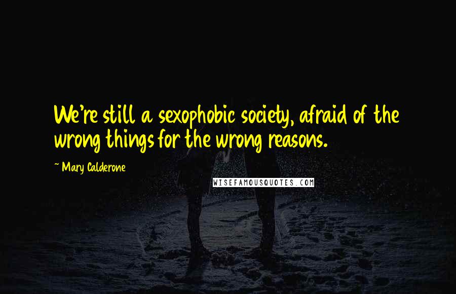 Mary Calderone Quotes: We're still a sexophobic society, afraid of the wrong things for the wrong reasons.