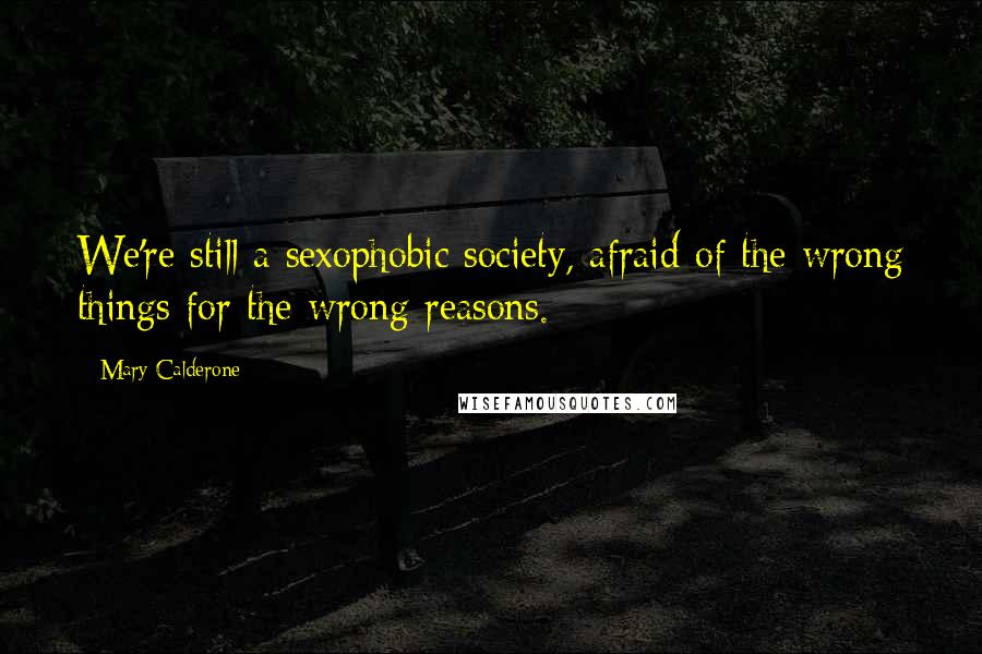 Mary Calderone Quotes: We're still a sexophobic society, afraid of the wrong things for the wrong reasons.