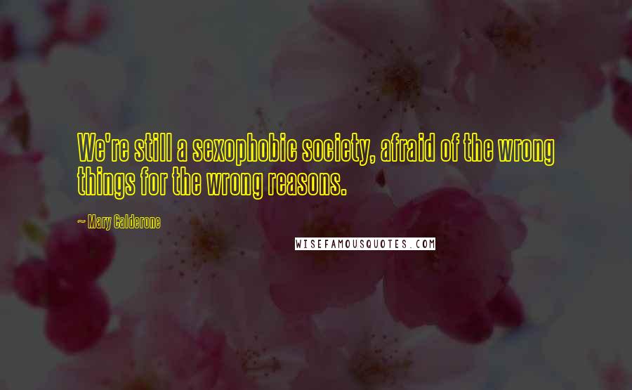Mary Calderone Quotes: We're still a sexophobic society, afraid of the wrong things for the wrong reasons.