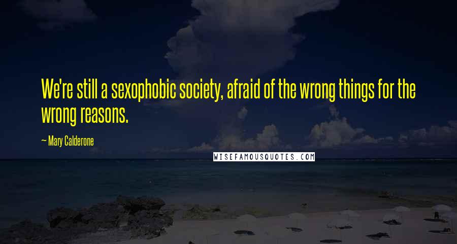 Mary Calderone Quotes: We're still a sexophobic society, afraid of the wrong things for the wrong reasons.