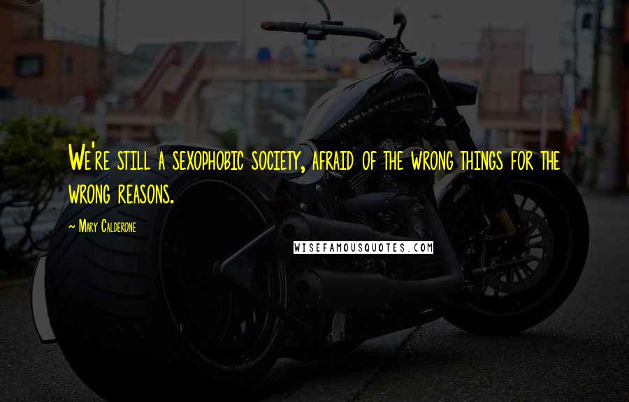 Mary Calderone Quotes: We're still a sexophobic society, afraid of the wrong things for the wrong reasons.