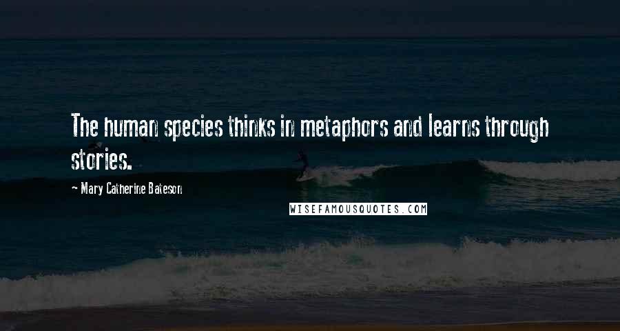 Mary Catherine Bateson Quotes: The human species thinks in metaphors and learns through stories.