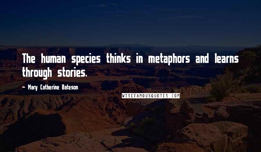 Mary Catherine Bateson Quotes: The human species thinks in metaphors and learns through stories.
