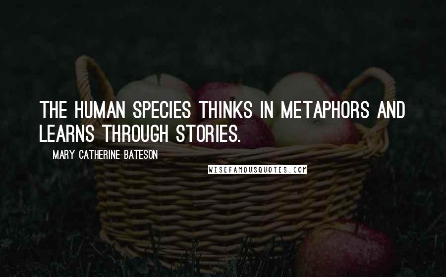 Mary Catherine Bateson Quotes: The human species thinks in metaphors and learns through stories.