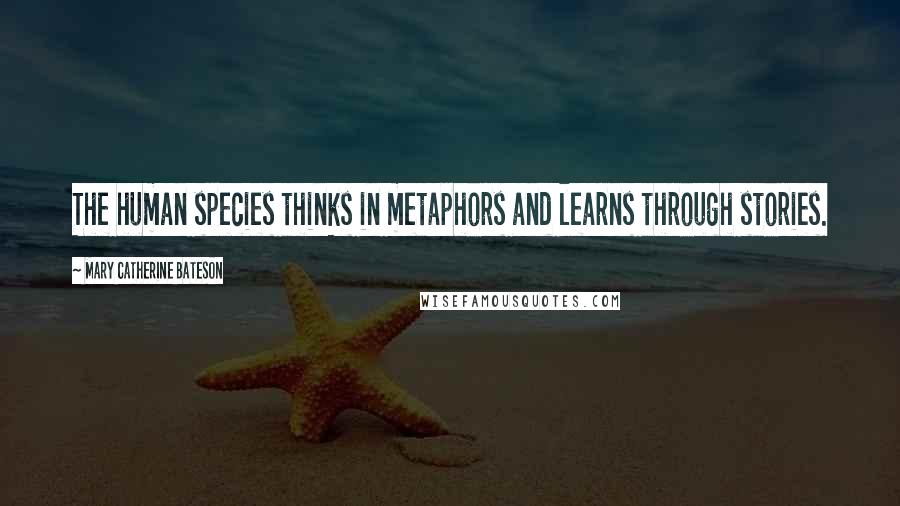 Mary Catherine Bateson Quotes: The human species thinks in metaphors and learns through stories.