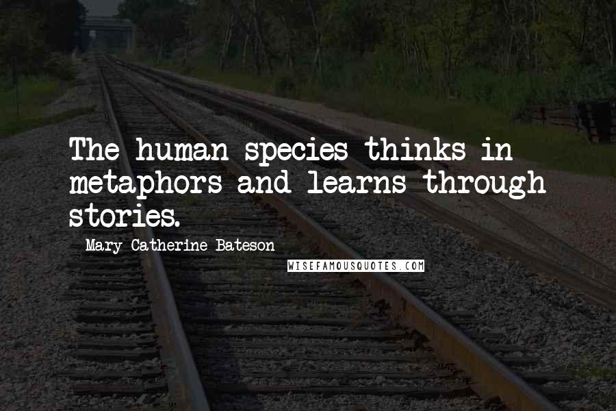 Mary Catherine Bateson Quotes: The human species thinks in metaphors and learns through stories.