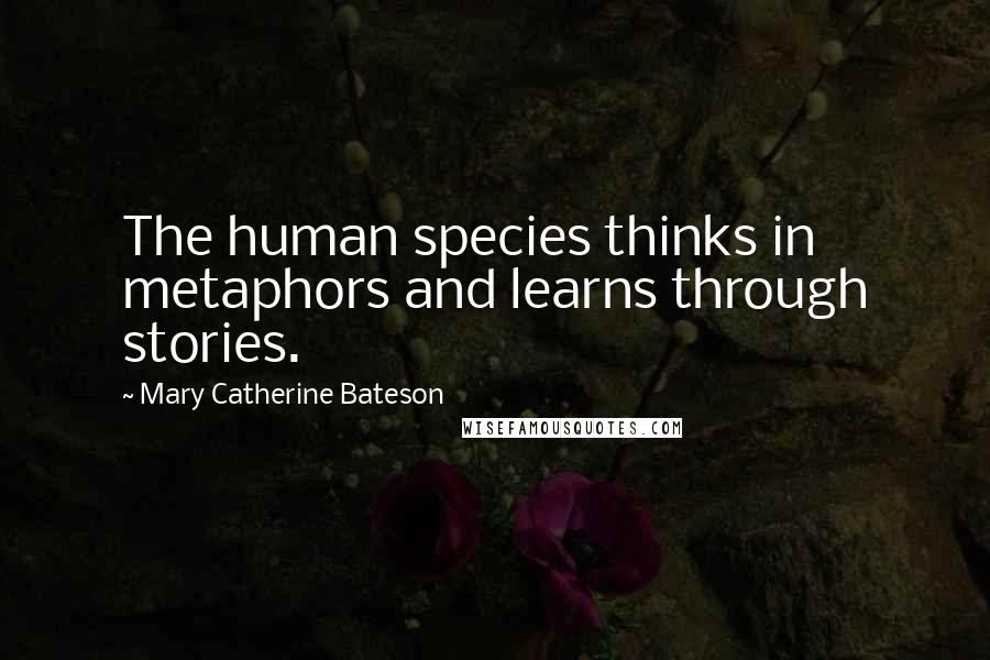 Mary Catherine Bateson Quotes: The human species thinks in metaphors and learns through stories.