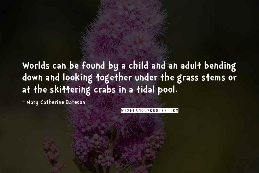 Mary Catherine Bateson Quotes: Worlds can be found by a child and an adult bending down and looking together under the grass stems or at the skittering crabs in a tidal pool.