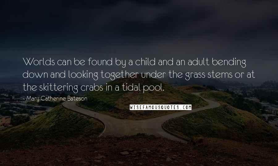 Mary Catherine Bateson Quotes: Worlds can be found by a child and an adult bending down and looking together under the grass stems or at the skittering crabs in a tidal pool.