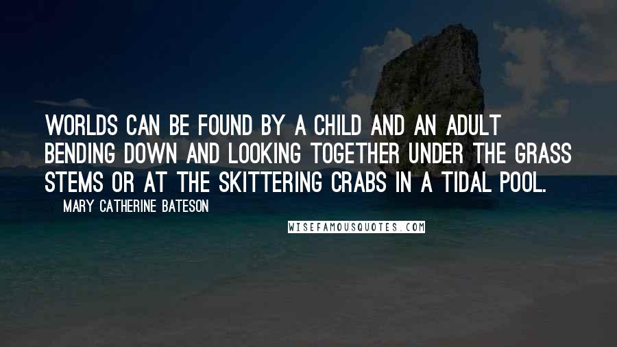 Mary Catherine Bateson Quotes: Worlds can be found by a child and an adult bending down and looking together under the grass stems or at the skittering crabs in a tidal pool.