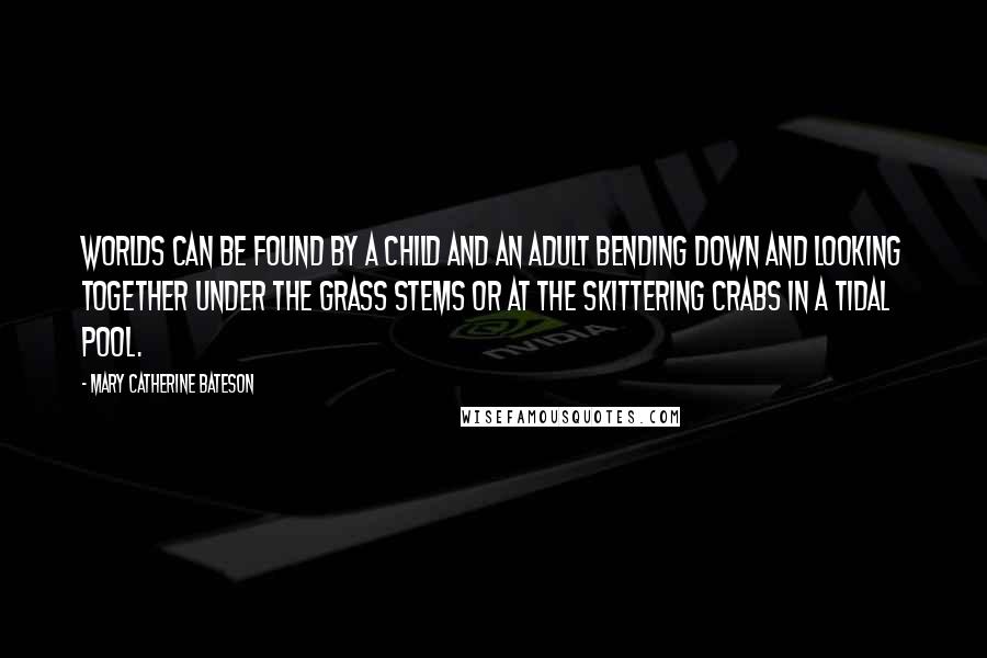 Mary Catherine Bateson Quotes: Worlds can be found by a child and an adult bending down and looking together under the grass stems or at the skittering crabs in a tidal pool.