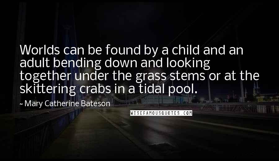 Mary Catherine Bateson Quotes: Worlds can be found by a child and an adult bending down and looking together under the grass stems or at the skittering crabs in a tidal pool.