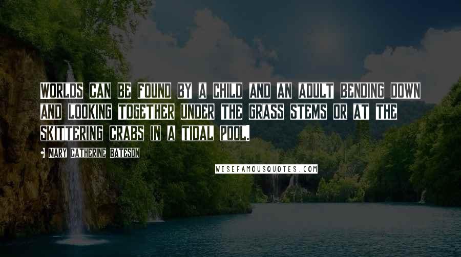 Mary Catherine Bateson Quotes: Worlds can be found by a child and an adult bending down and looking together under the grass stems or at the skittering crabs in a tidal pool.