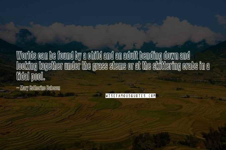 Mary Catherine Bateson Quotes: Worlds can be found by a child and an adult bending down and looking together under the grass stems or at the skittering crabs in a tidal pool.