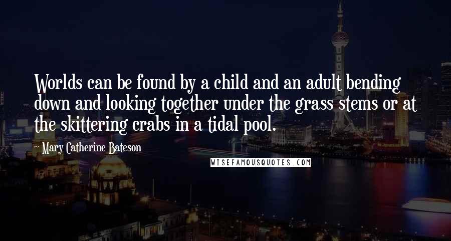 Mary Catherine Bateson Quotes: Worlds can be found by a child and an adult bending down and looking together under the grass stems or at the skittering crabs in a tidal pool.