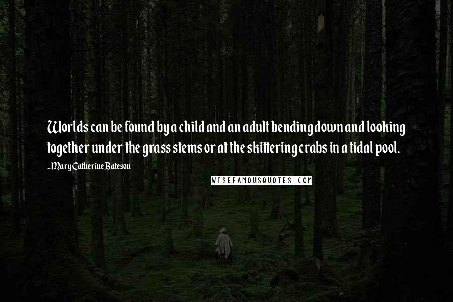 Mary Catherine Bateson Quotes: Worlds can be found by a child and an adult bending down and looking together under the grass stems or at the skittering crabs in a tidal pool.