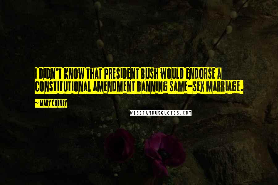 Mary Cheney Quotes: I didn't know that President Bush would endorse a constitutional amendment banning same-sex marriage.