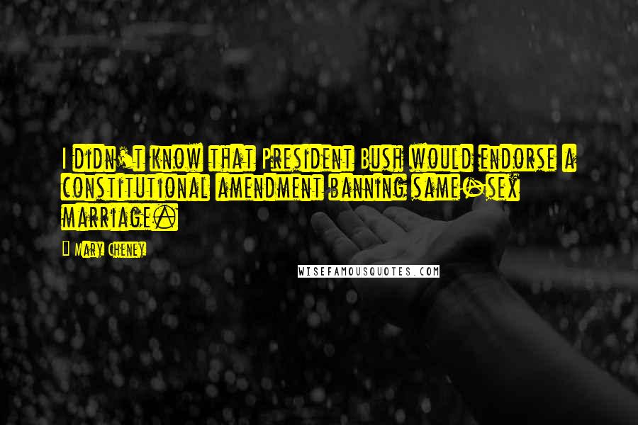 Mary Cheney Quotes: I didn't know that President Bush would endorse a constitutional amendment banning same-sex marriage.