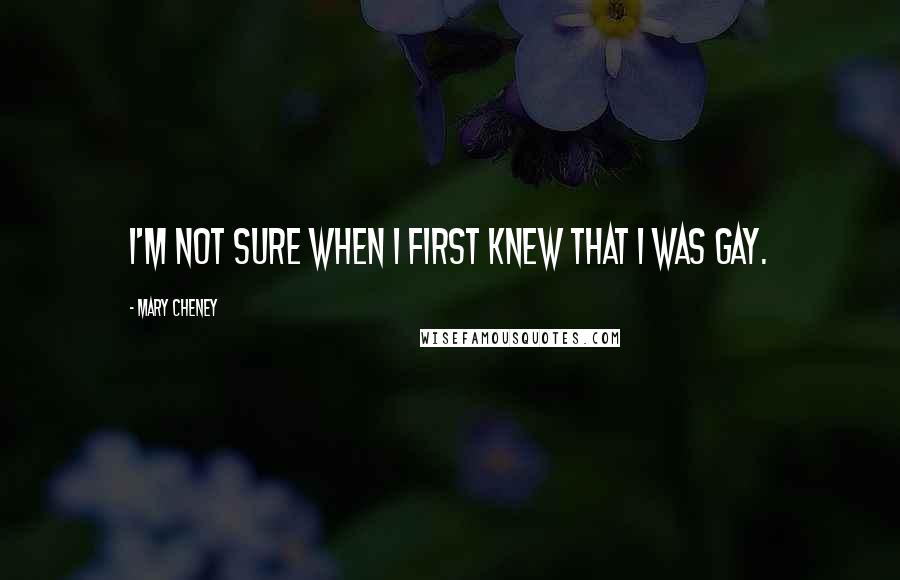 Mary Cheney Quotes: I'm not sure when I first knew that I was gay.