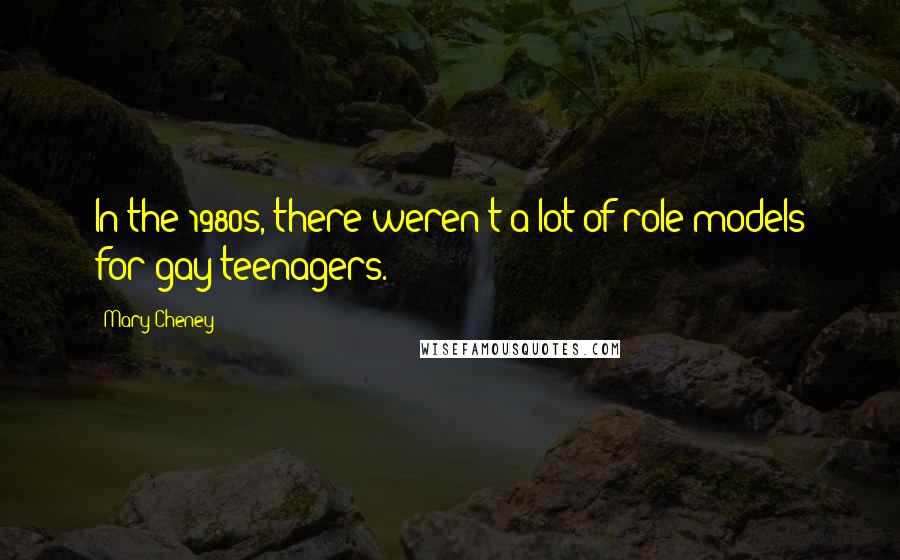 Mary Cheney Quotes: In the 1980s, there weren't a lot of role models for gay teenagers.