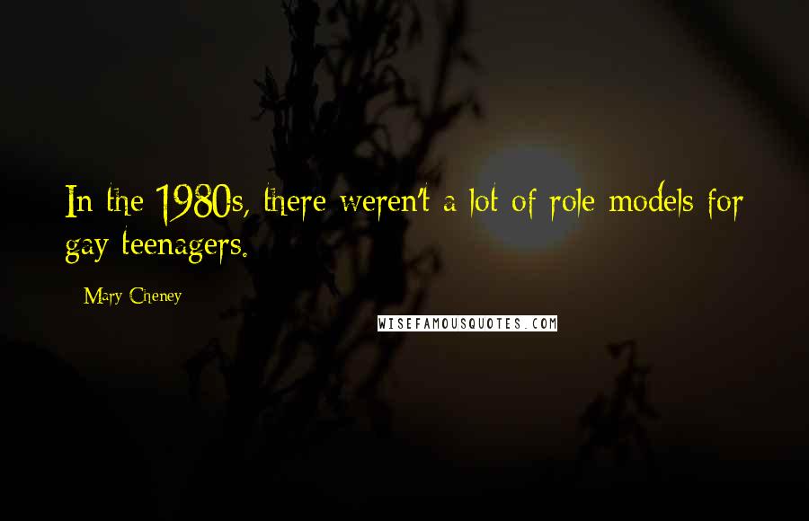 Mary Cheney Quotes: In the 1980s, there weren't a lot of role models for gay teenagers.